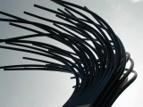 pa110036.gif