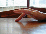 p5280032.gif