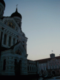 p2040021.gif