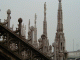 p5170006.gif