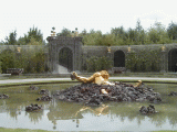 p9030171.gif