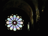 p1310042.gif